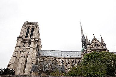 《可口的披萨，美味的披萨》脱离抢先体验 国区售价永降